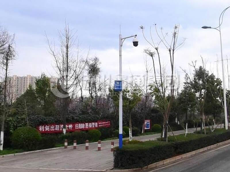 DJG-025，電子警察桿，治安監(jiān)控桿